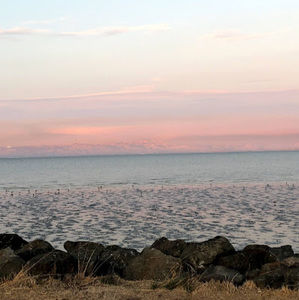 Meet your Posher, Ingrid